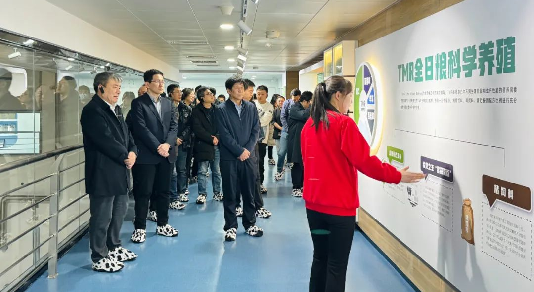 供稿：开云官方在线入口-开云(中国)